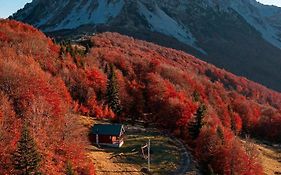Mountain House Komovi-Radunovic