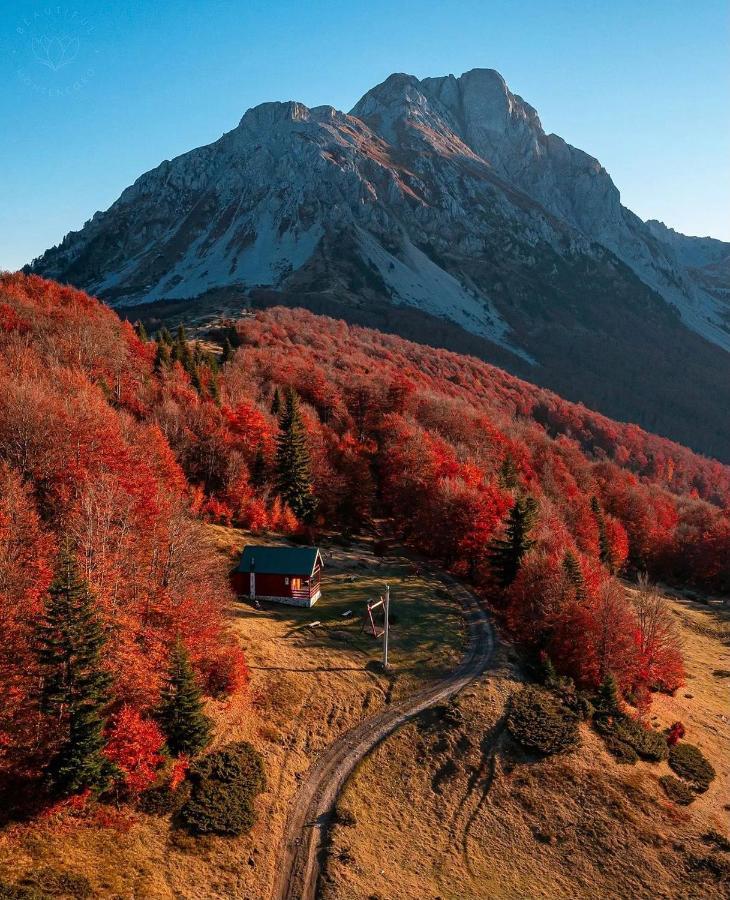 Mountain House Komovi-Radunovic Andrijevica Zewnętrze zdjęcie
