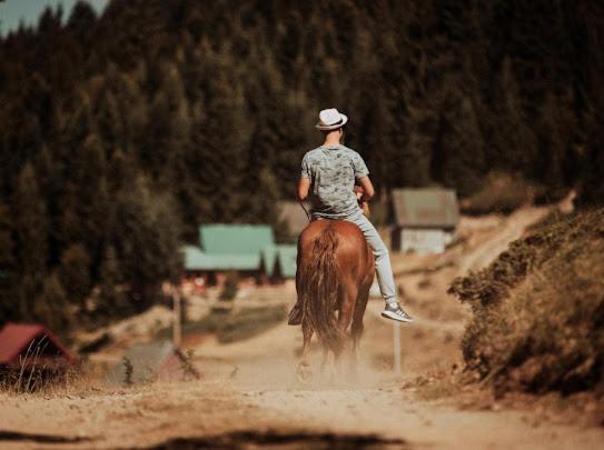 Mountain House Komovi-Radunovic Andrijevica Zewnętrze zdjęcie